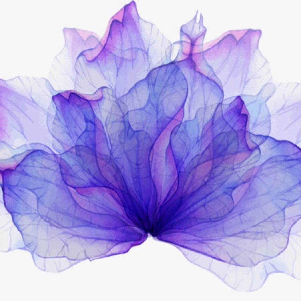 Welcome to The Violet Room